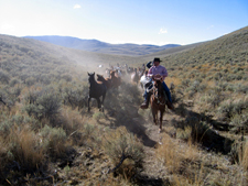 USA-Idaho-Medicine Lodge Cowboy Experience